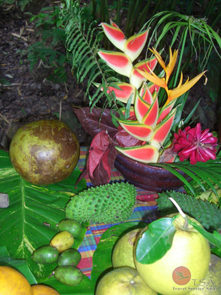 Früchte der Karibik